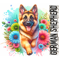 Animal Integration-DW 717